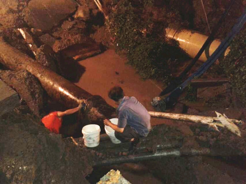 QQ图片20140808152708_副本.jpg
